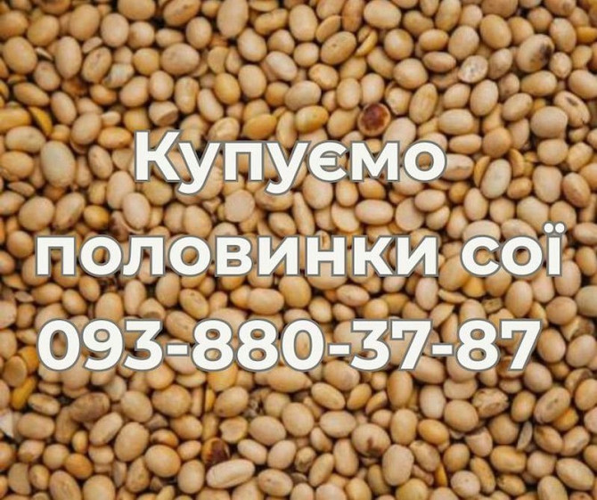 Постійно купуємо половинки сої. Вигідні умови співпраці Ужгород - изображение 1