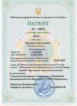 Насіння пшениці м'якої озимої Яліта, РР2 Фастів