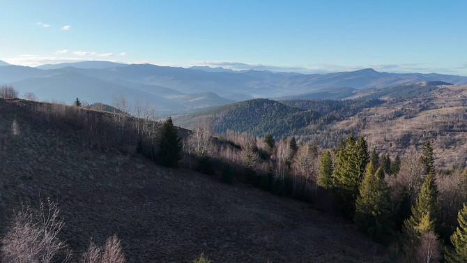 Земельна ділянка у Микуличині 0.76 га Яремче - зображення 5