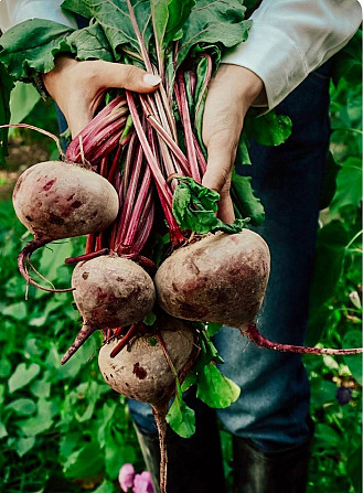 Продам овочі, картоплю, капусту, лук, буряк, моркву по оптовій ціні, доставка Одесса - изображение 4