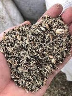 Купуємо зерновідходи, некондиційне зерно Кропивницкий (Кировоград) - изображение 1
