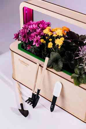 EcoBloom Smart Garden Розумний сад вдома Львов