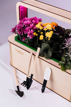 EcoBloom Smart Garden Розумний сад вдома Львов - изображение 1