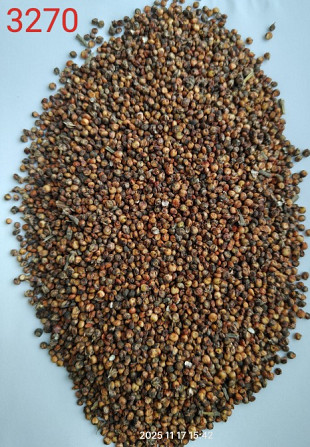 Продам сорго біле, червоне - 750т., с/г виробник. Київ - зображення 3