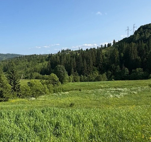 Продам земельну ділянку смт. Славське, 20сот. Львов - изображение 1